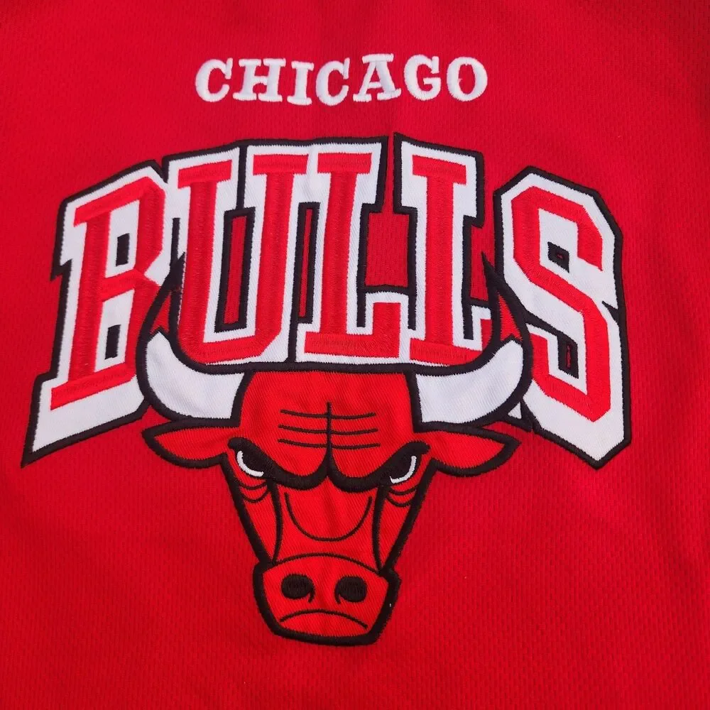 NBA Chicago Bulls Youth Red Basketball Jersey Size 14-16 Large Embroidered Logo